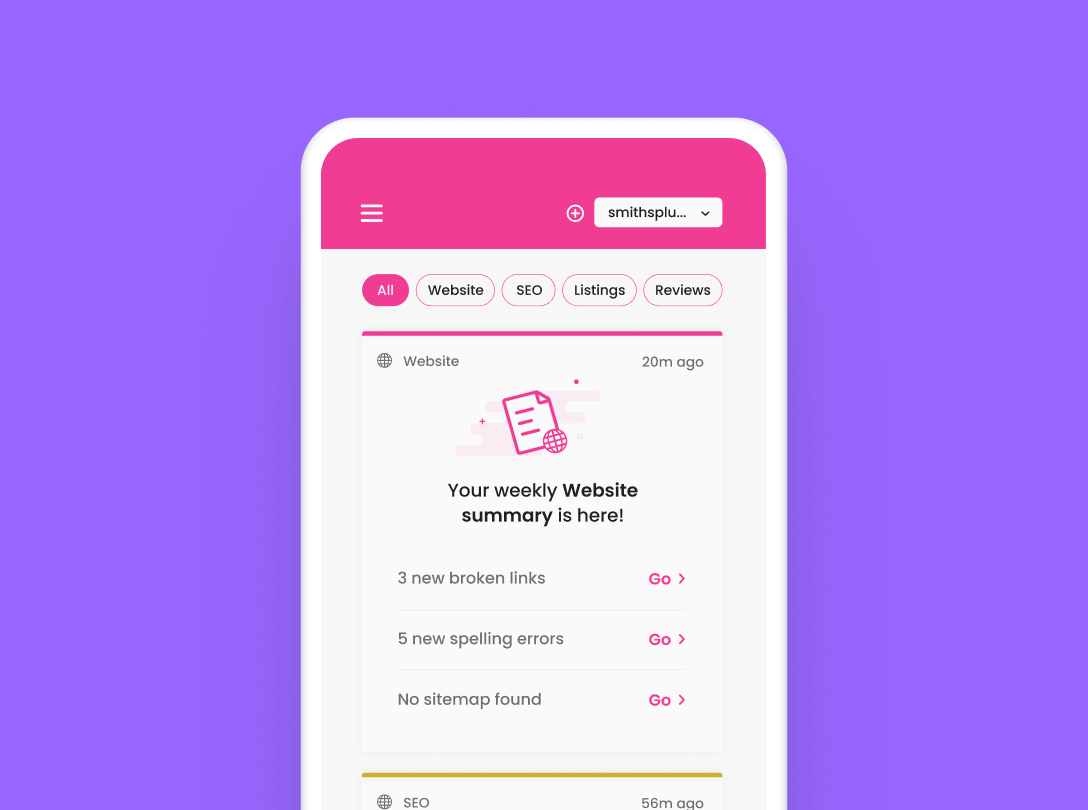 SEOpal brand identity concept